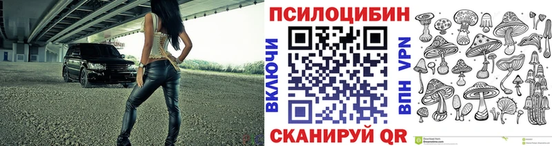 гидра ТОР  Завитинск  нарко площадка формула  Псилоцибиновые грибы GOLDEN TEACHER 